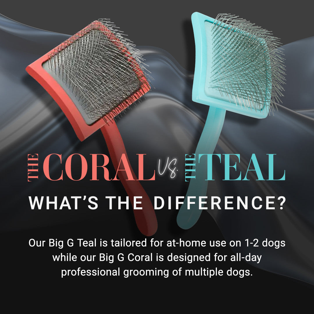 The Coral vs The Teal: what's the difference? Our Big G Teal is tailored for at-home use on 1-2 dogs while our Big G Coral is designed for all-day professional grooming of multiple dogs