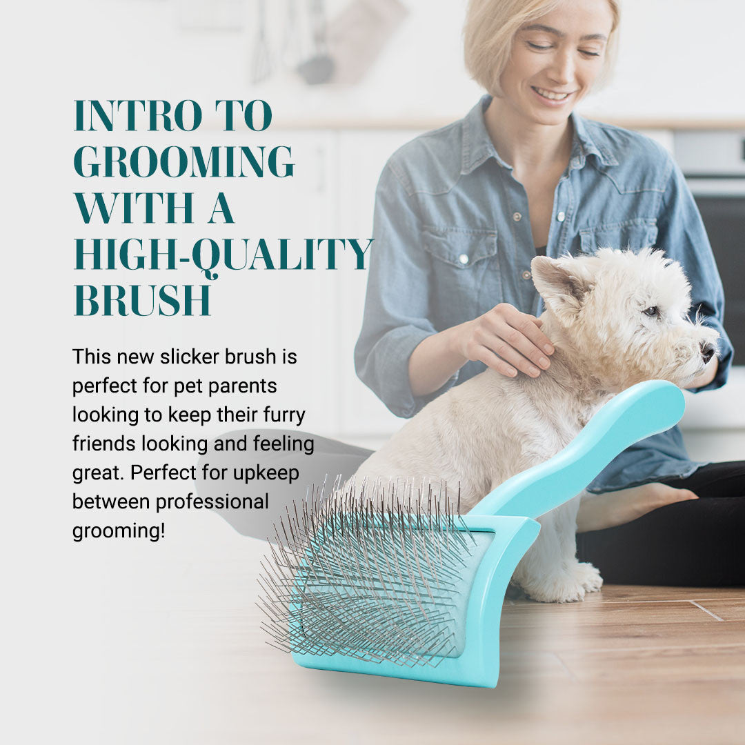 Intro to grooming with a high-quality brush - this new slicker brush is perfect for pet parents looking for keep their furry friends looking and feeling great. Perfect for upkeep between professional grooming!