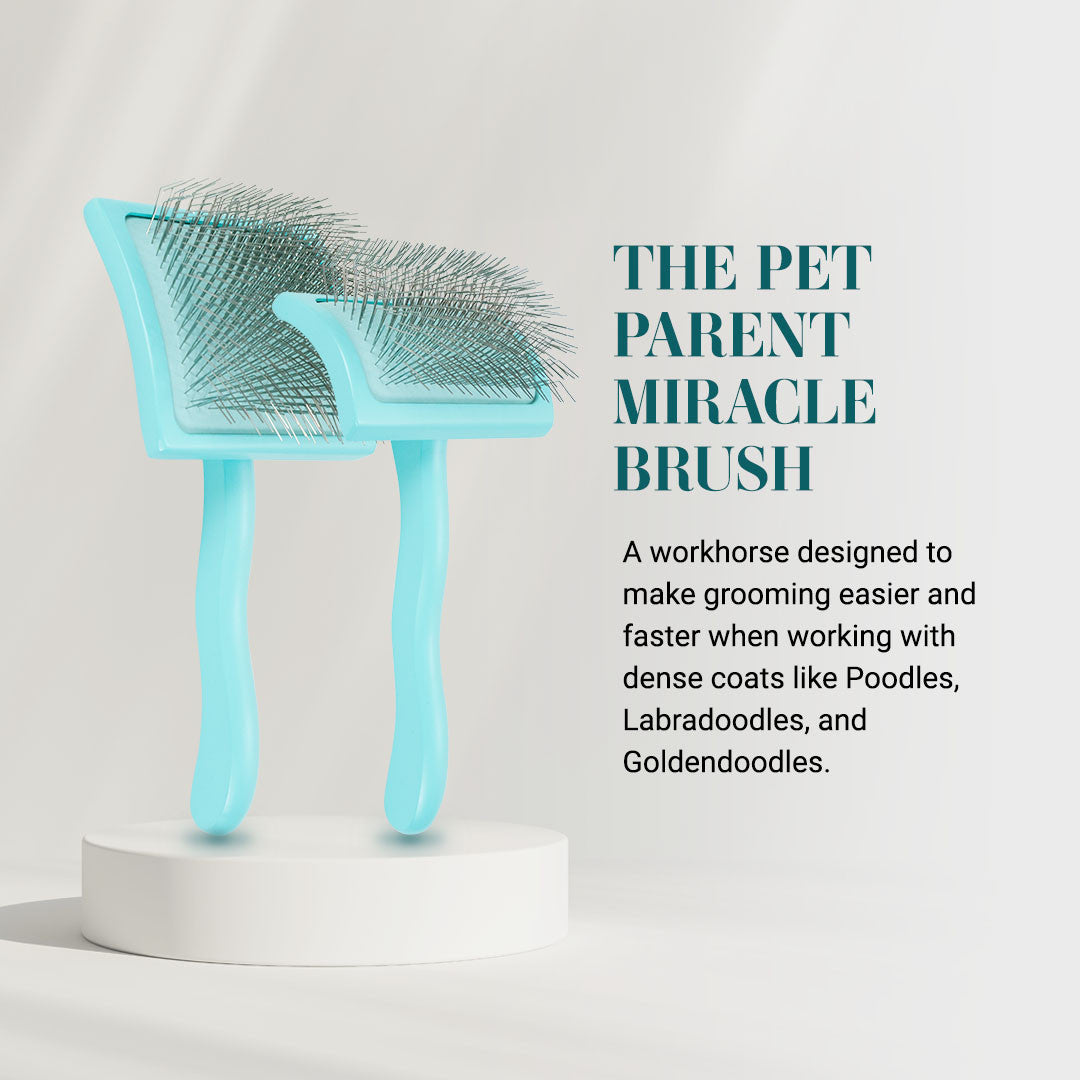 The Pet Parent Miracle Brush - A workhorse designed to make grooming easier and faster when working with dense coats like Poodles, Labradoodles, and Goldendoodles.