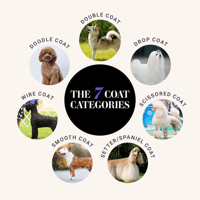 What is a Coat Type? The 7 Coat Categories