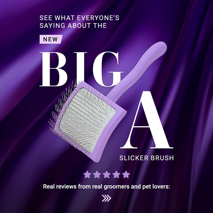 Big A: The Reviews Are In! ⭐️⭐️⭐️⭐️⭐️