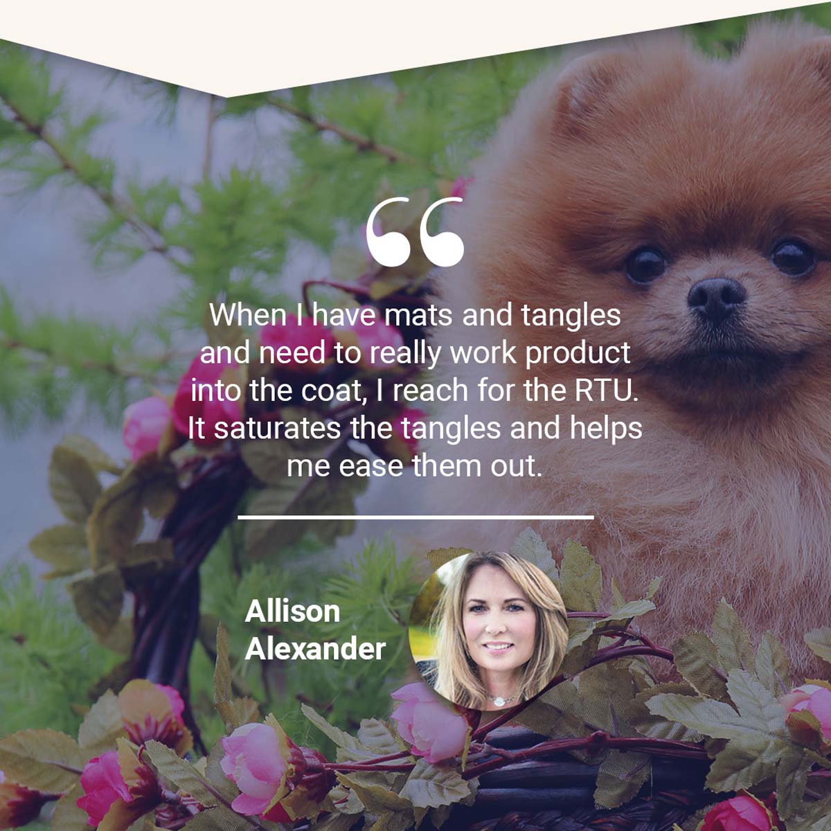 Chris Christensen Ice on Ice Detangling and Finishing Spray