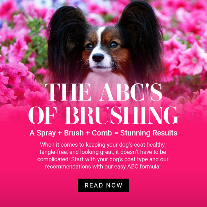 The ABC's of Brushing