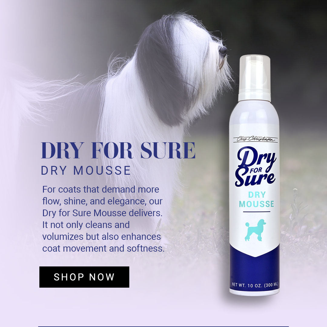 Dry for Sure Mousse - For coats that demand more flow, shine, and elegance, our Dry for Sure Mousse delivers. It not only cleans and volumizes but also enhances coat movement and softness.