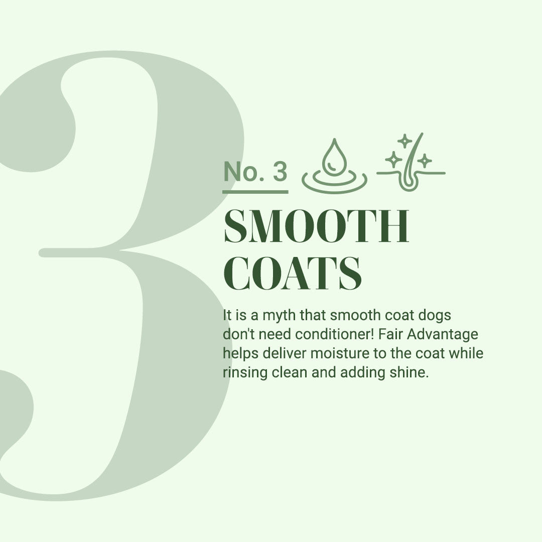 #3: Smooth Coats: It is a myth that smooth coat dogs don't need conditioner! Fair Advantage helps deliver moisture to the coat while rinsing clean and adding shine!