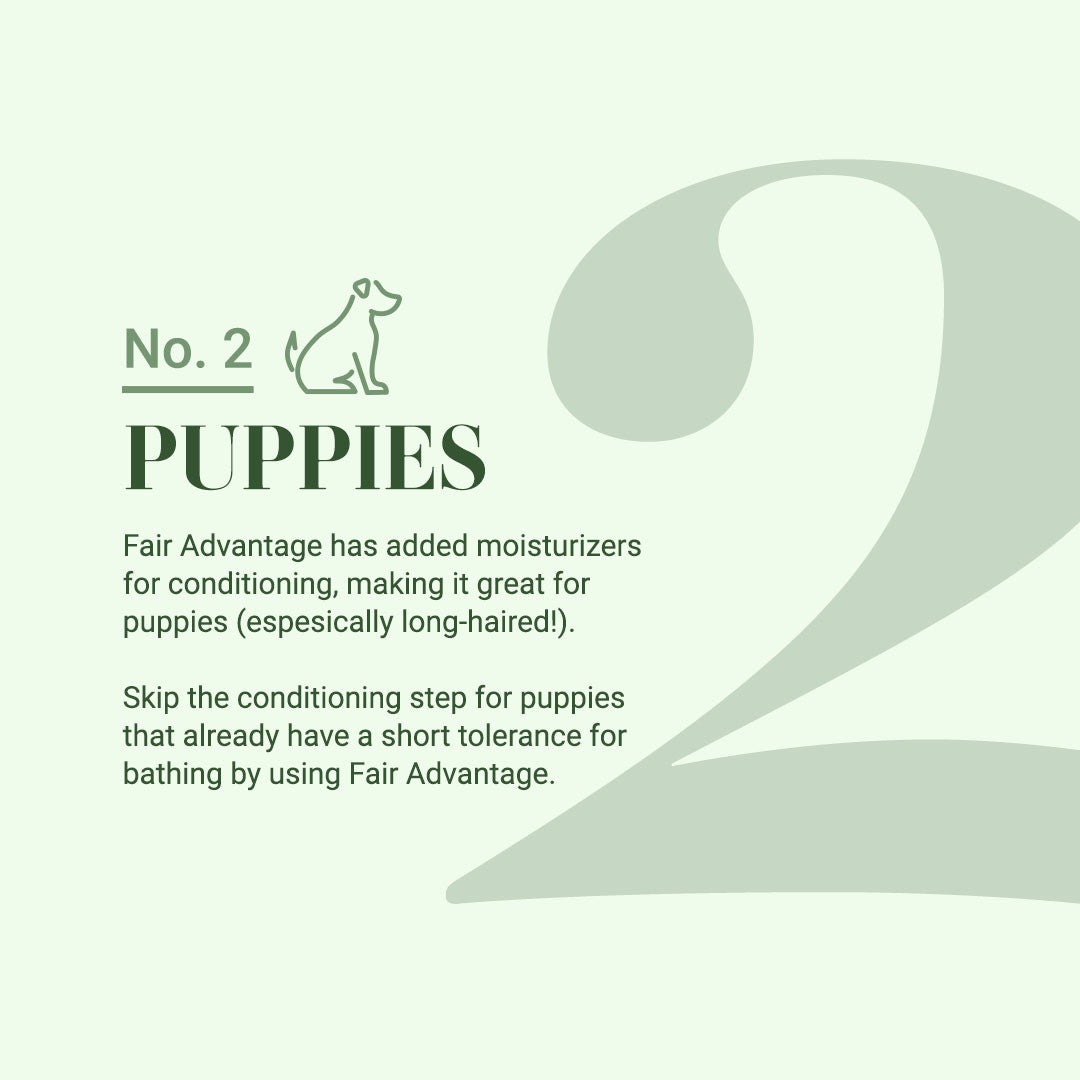 #2: Puppies: Fair Advantage has added moisturizers for conditioning, making it great for puppies (especially long-haired ones). Skip the conditioning step for puppies that already have a short tolerance for bathing by using Fair Advantage.