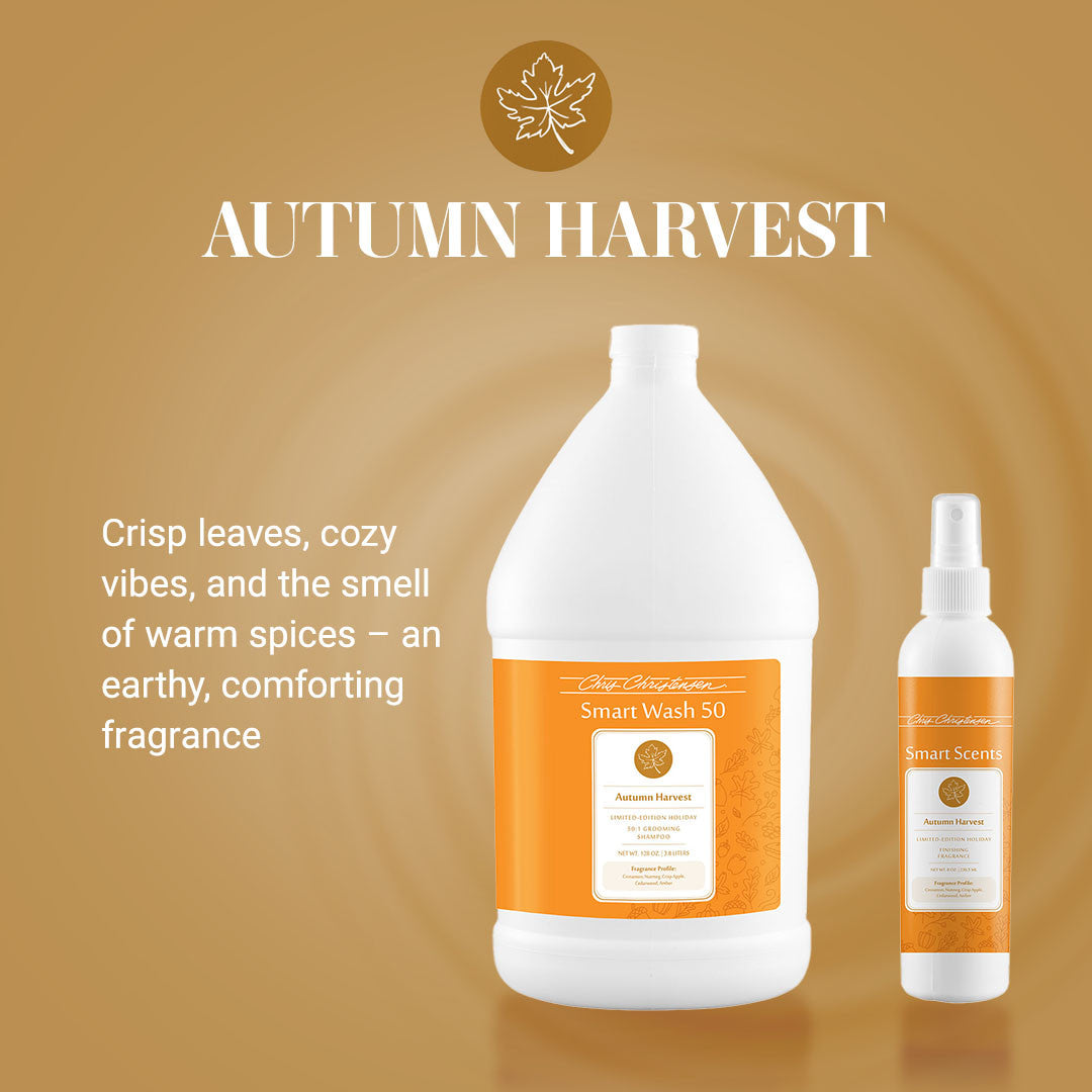 Autumn Harvest scent - Crisp leaves, cozy vibes, and the smell of warm spices - an earthy, comforting fragrance.