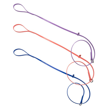Champagne by Chris Christensen Grooming Leads