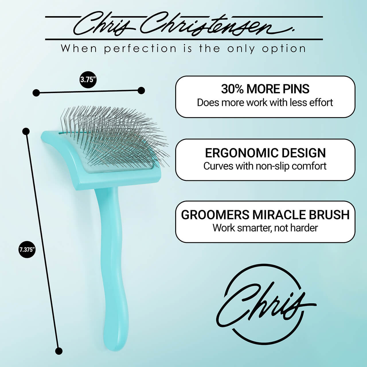 Chris Christensen Big G Teal Slicker Brush Medium - Dimensions