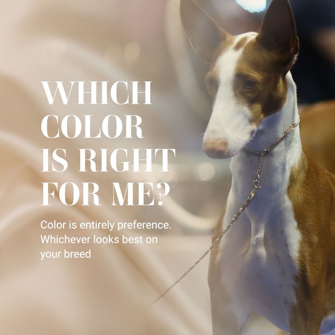 Which color is right for me? Color is entirely based on preference. Whichever looks best on your breed.
