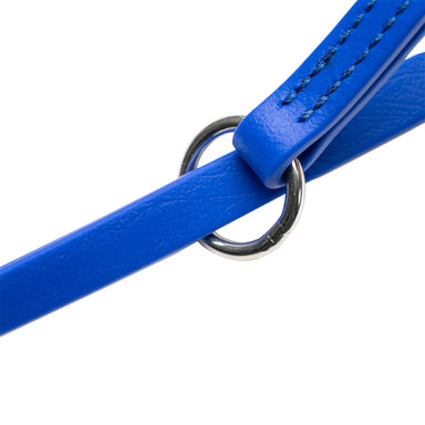 Champagne by Chris Christensen Grooming Lead Slip Design