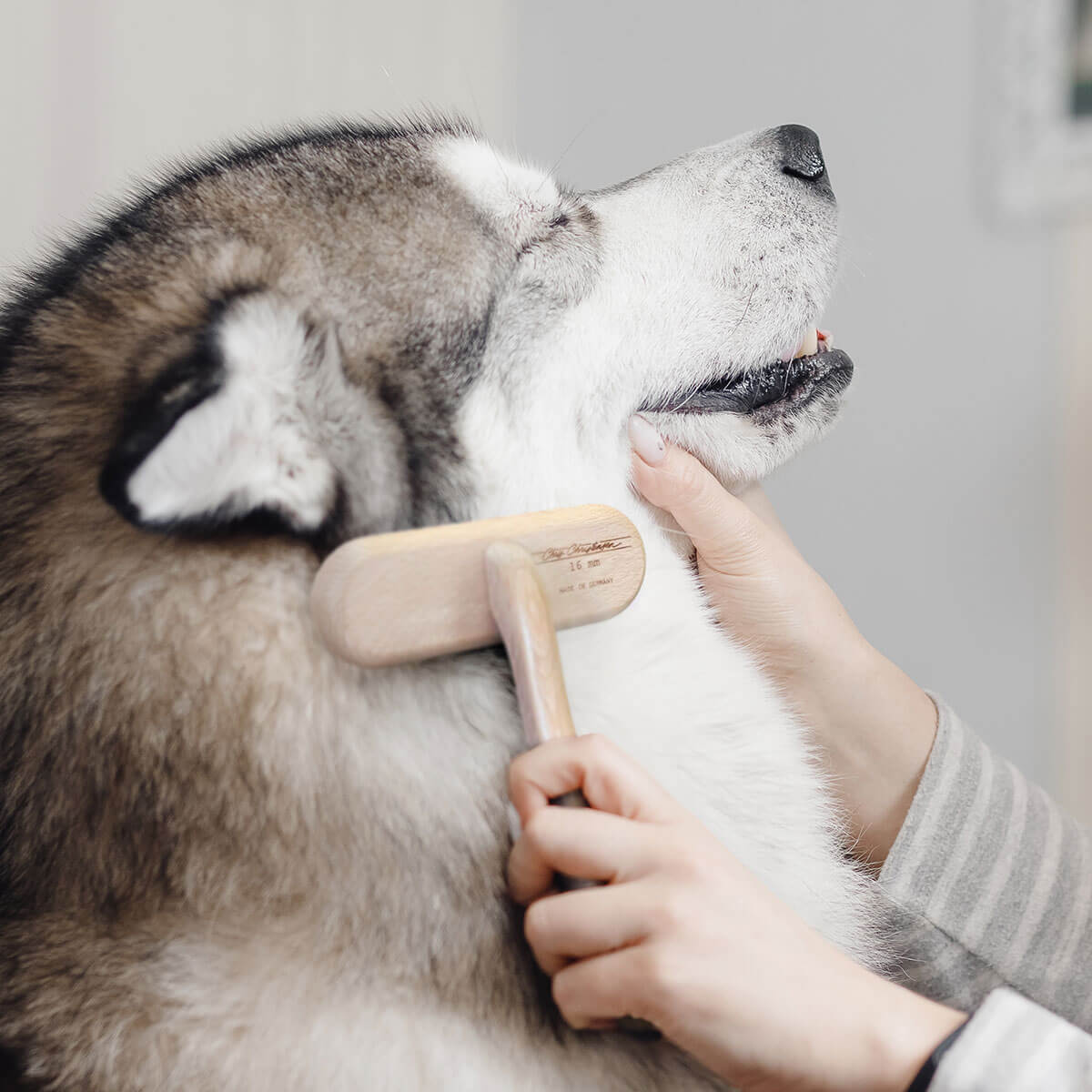 Chris Christensen Original Series T-Brush