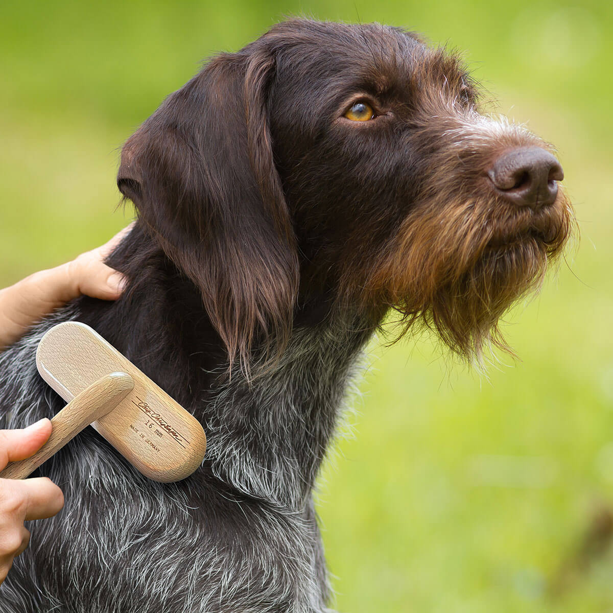 Chris Christensen Original Series T-Brush