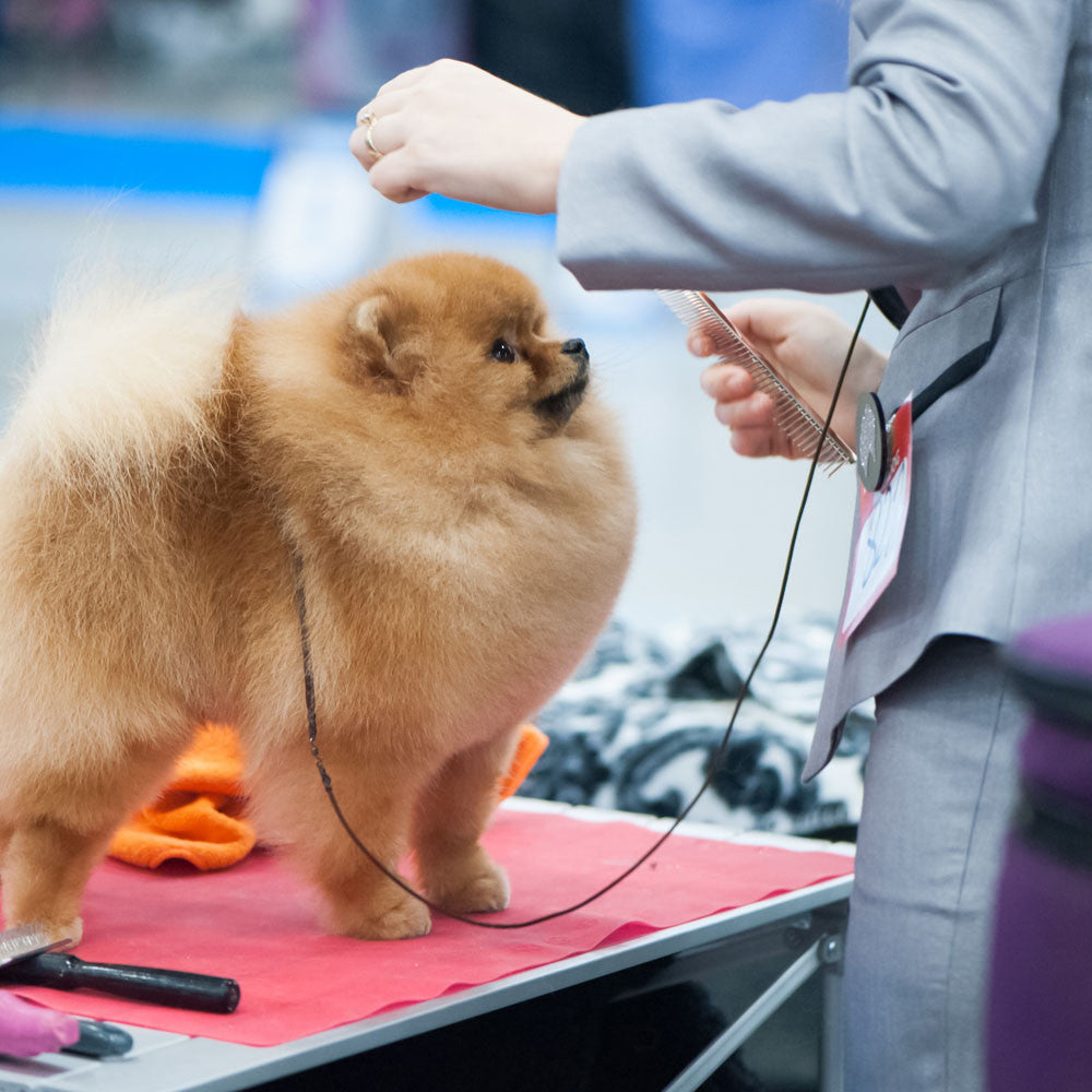 Chris Christensen 000 Buttercomb