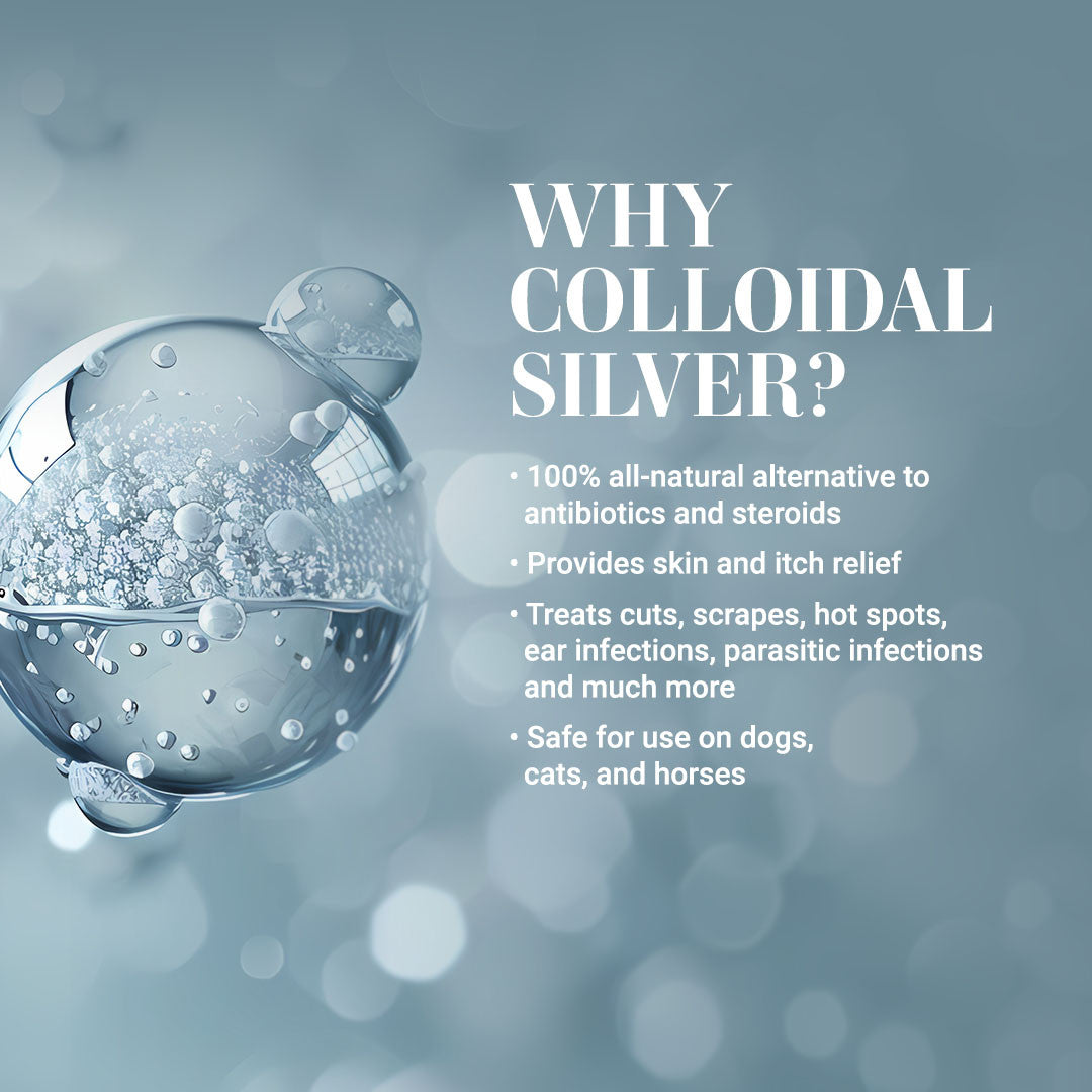 Why Colloidal Silver? 100% all-natural alternative to antibiotics and steroids. Provides skin and itch relief. Treats cuts, scrapes, hot spots, ear infections, parasitic infections, and much more. Safe for use on dogs, cats, and horses.
