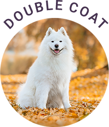 Double Coat